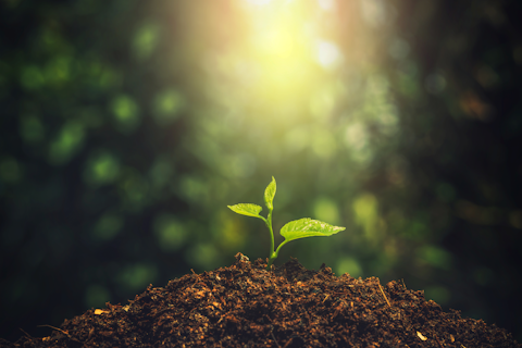 SGS Polska serdecznie zaprasza na szkolenie Aktualizacja normy ISO/FDIS 14001:2026 w praktyce.